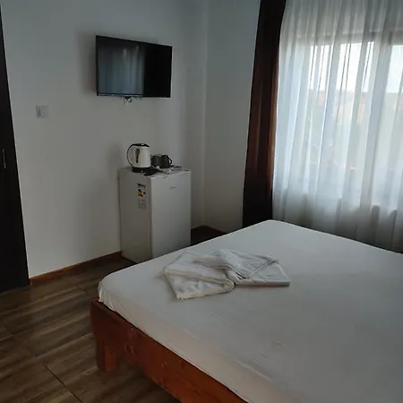 Casa Vlad *